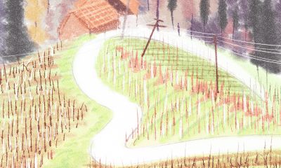 什么是三合贵人_生肖兔的三合贵人有哪些？