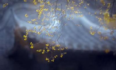 2019年立春出生的男孩命好吗？当天几点是吉时？