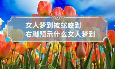 女人梦到被蛇咬到右脚预示什么 女人梦到被小蛇咬到右脚