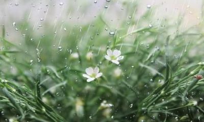 2021年惊蛰是几月几号几点几分？惊蛰是什么意思？