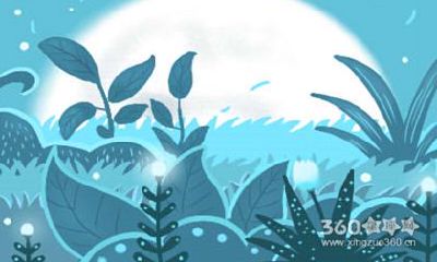 属马和属鼠谁克谁严重 怎么改