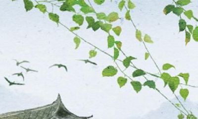 属猪和属蛇的人合婚吗 能做夫妻吗