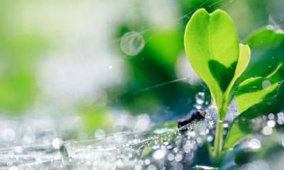 2019年立春还要几天？立春那天不能做什么？