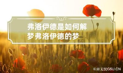 弗洛伊德是如何解梦 弗洛伊德的梦
