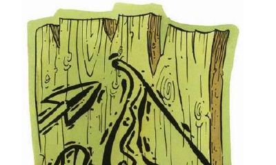 射手座图片大全【专辑61】