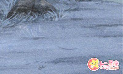 泓翔老师2016年9月生肖兔学业运势