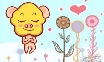 两个属猪的人婚姻如何 在一起合适么