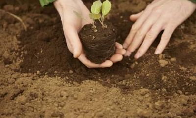 2021年五一劳动节出生男宝宝五行缺金名字精选