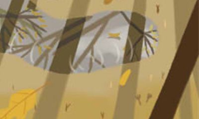 张盛舒2016年10月生肖兔运势