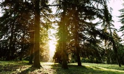 2021年五一劳动节出生的男宝宝命中五行缺水名字大全