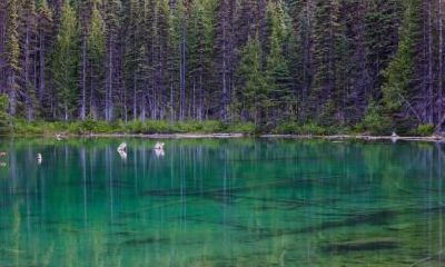 2021年五一劳动节出生男孩五行缺火寓意好的名字