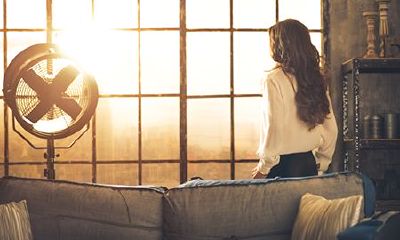 属兔双子座2022年运势