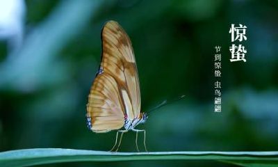 2021年3月5日惊蛰适合出行吗？日子卦象吉凶？