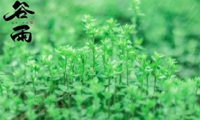 2020年谷雨前一天可以烧香祈福吗？祈福最佳时间什么时候？