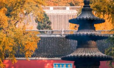 属鼠人在谷雨节气出生命运如何？是好命吗？