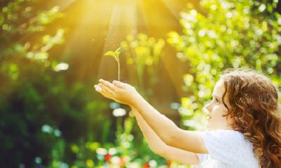 属兔人2022年2月运势