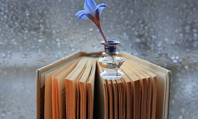 属兔人2022年8月运势