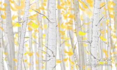 为啥鸡和猪是六害婚姻 属鸡和属猪犯六害可以化解吗