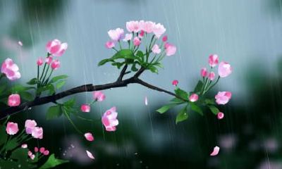 谷雨下雨有什么说法？好还是不好？