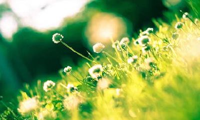 闰月鞋是什么意思？闰月鞋什么时候穿？