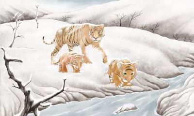 冬至前一个节气是什么节气？冬至是第几个节气？