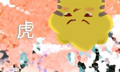 男生肖虎配生肖女兔 开始会有一点的不适应