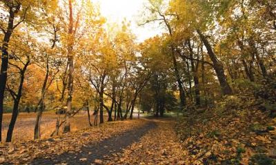 谷雨如何旺运，有哪些方法可以转运