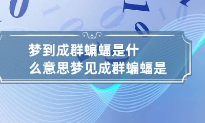 梦到成群蝙蝠是什么意思 梦见成群蝙蝠是什么意思 怎么破