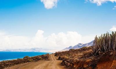 2018年出生属狗五行缺金喜火起名怎么取？