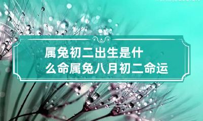 属兔初二出生是什么命 属兔八月初二命运