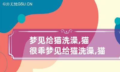 梦见给猫洗澡,猫很乖 梦见给猫洗澡,猫很乖是啥意思