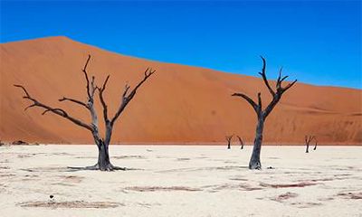 2018年寒露出生女孩五行缺金如何起名？有什么补救方法？