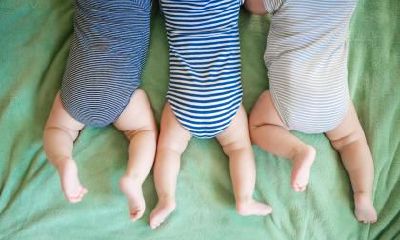 立夏出生的属牛人命运和性格如何？