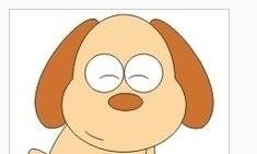 对生肖狗的投资理财忠告