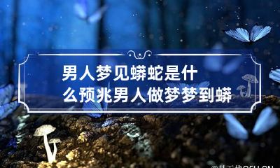 男人梦见蟒蛇是什么预兆 男人做梦梦到蟒蛇是什么征兆