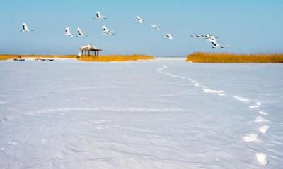 2020年12月7日大雪搬家好不好？搬家有什么讲究和忌讳？
