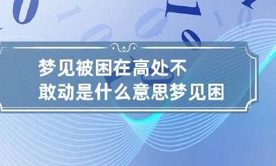 梦见被困在高处不敢动是什么意思 梦见困在高处下不去