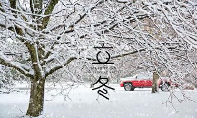 属狗的人在芒种节气出生是什么命？旺父母吗？