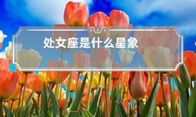 处女座是什么星象