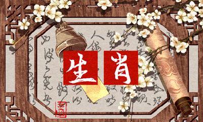 女生肖猪配男生肖兔 二人从不互相挑剔