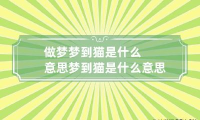 做梦梦到猫是什么意思梦到猫是什么意思周公解梦