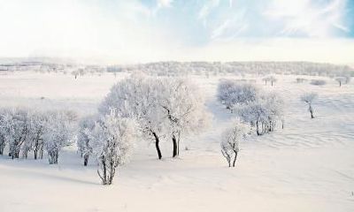 2020年大雪是几点几分几秒？大雪节气的由来和风俗？