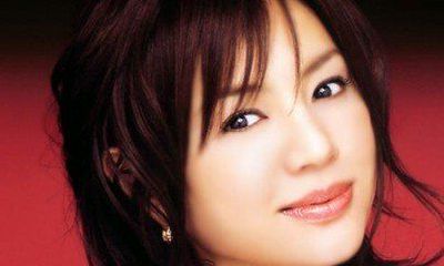 2013年属狗的财运