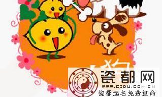 戌狗的最完整恋爱手册