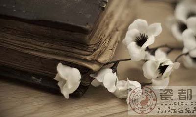 B型血属狗人性格特点:明辨是非，个性执着