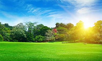 2018年10月4日出生的女孩如何起名？缺什么五行呢？