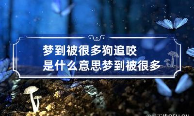 梦到被很多狗追咬是什么意思 梦到被很多狗追咬是什么意思呀