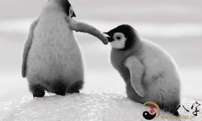 梦见别人帮助自己