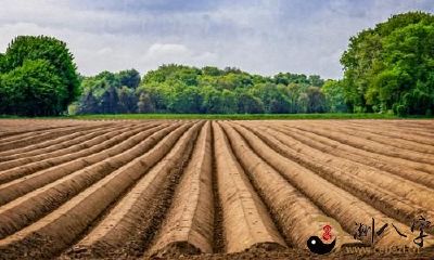 梦见人拉犁耕地
