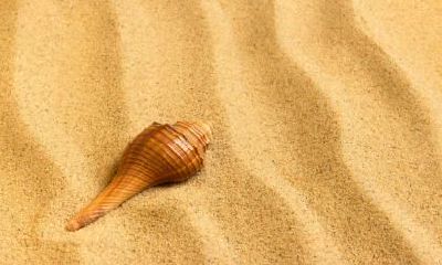 2018年10月5日出生女孩怎么起名？五行属什么呢？